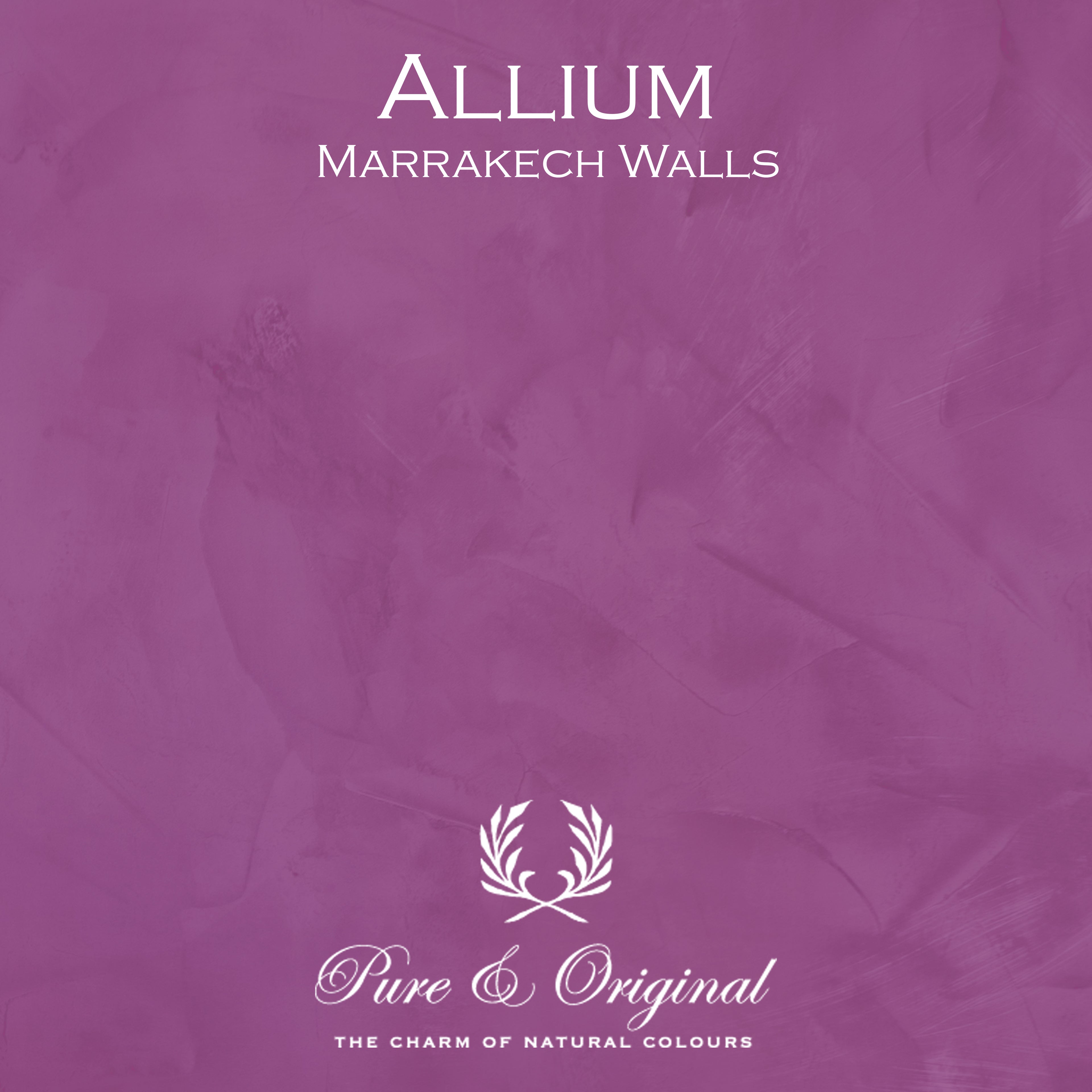 Pure & Original Marrakech Walls – Allium