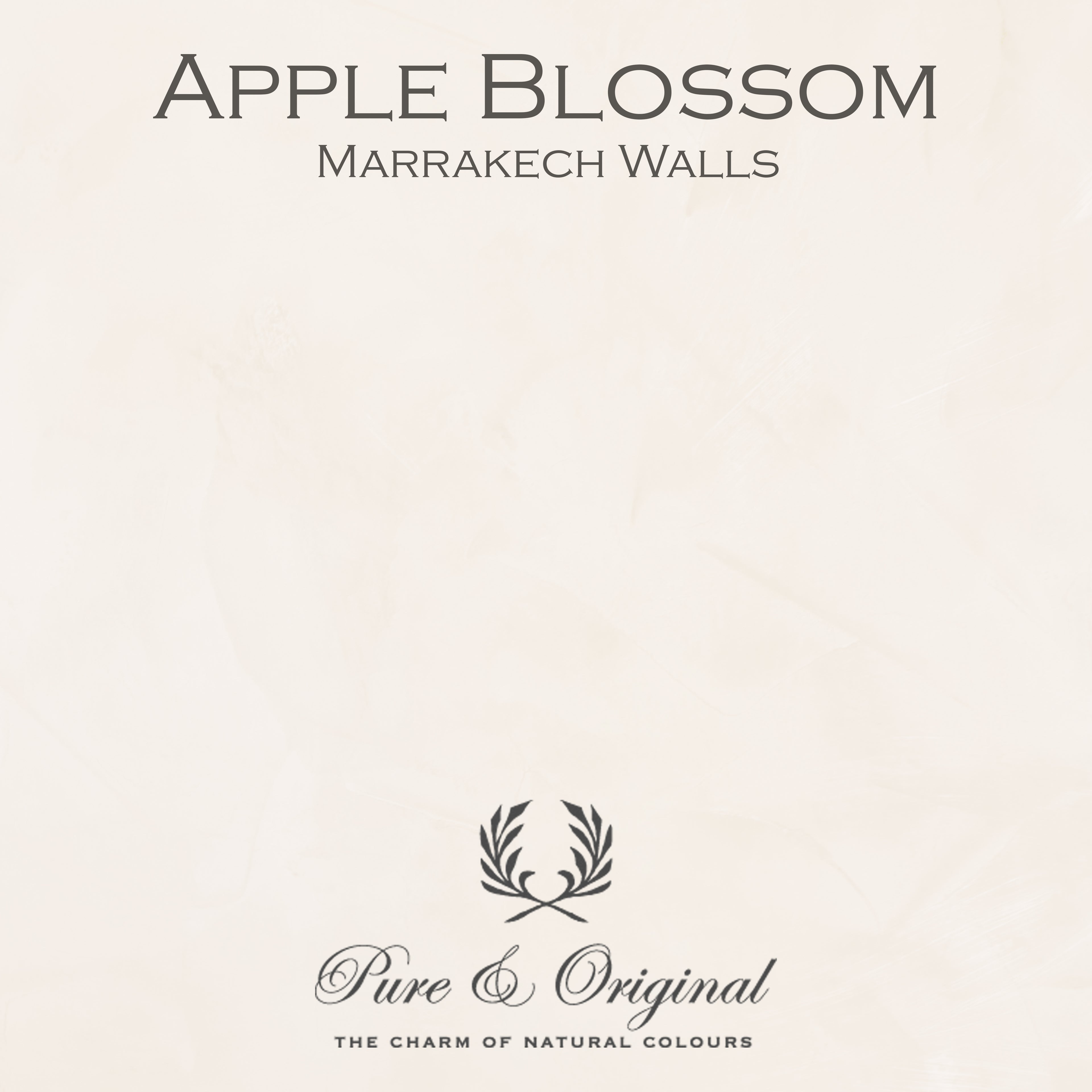 Pure & Original Marrakech Walls – Apple Blossom