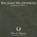 Pure & Original Marrakech Walls – Belgian Wilderness