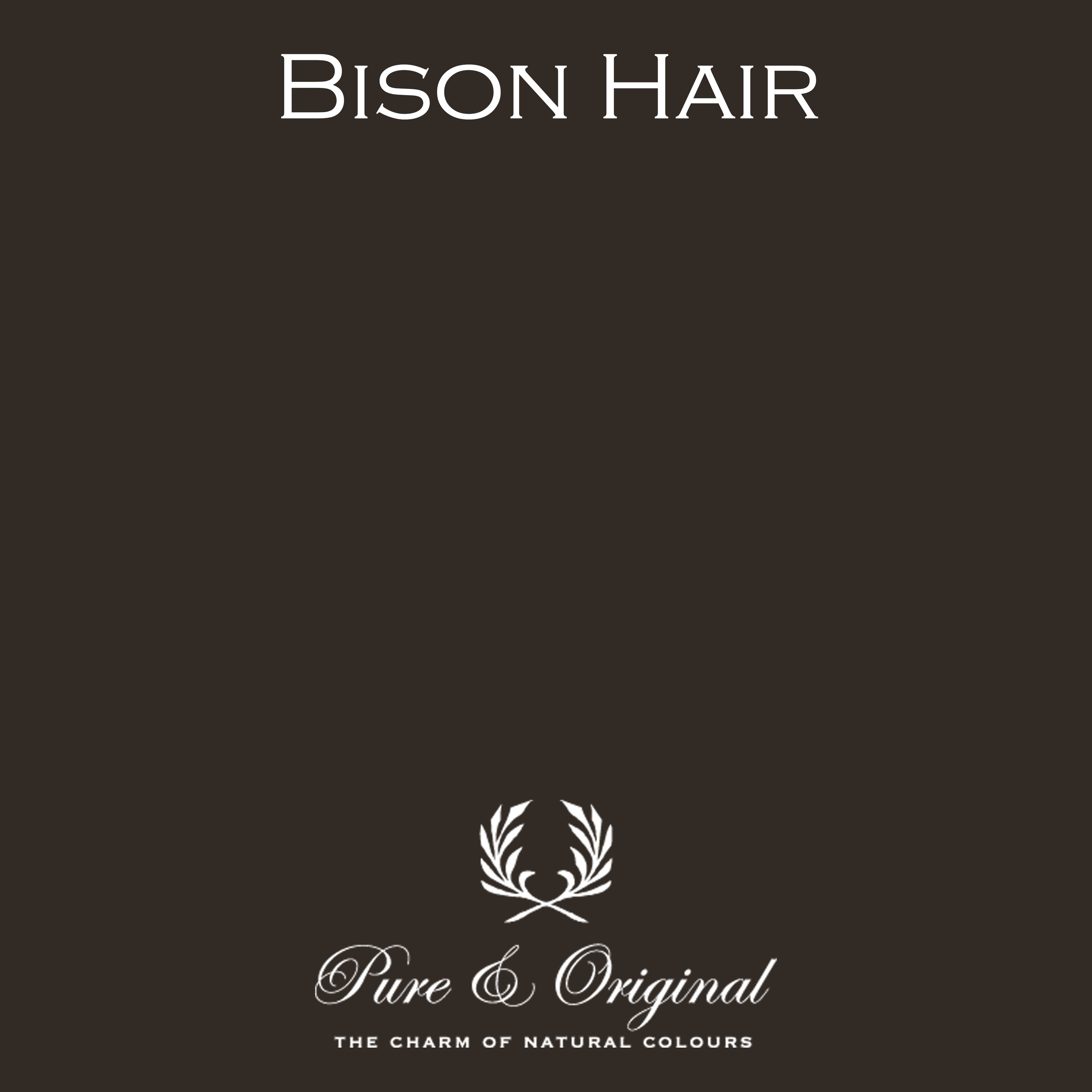 Pure & Original Traditional Paint High Gloss – Bison Hair