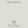 Pure & Original Traditional Paint Eggshell – Kiwi White