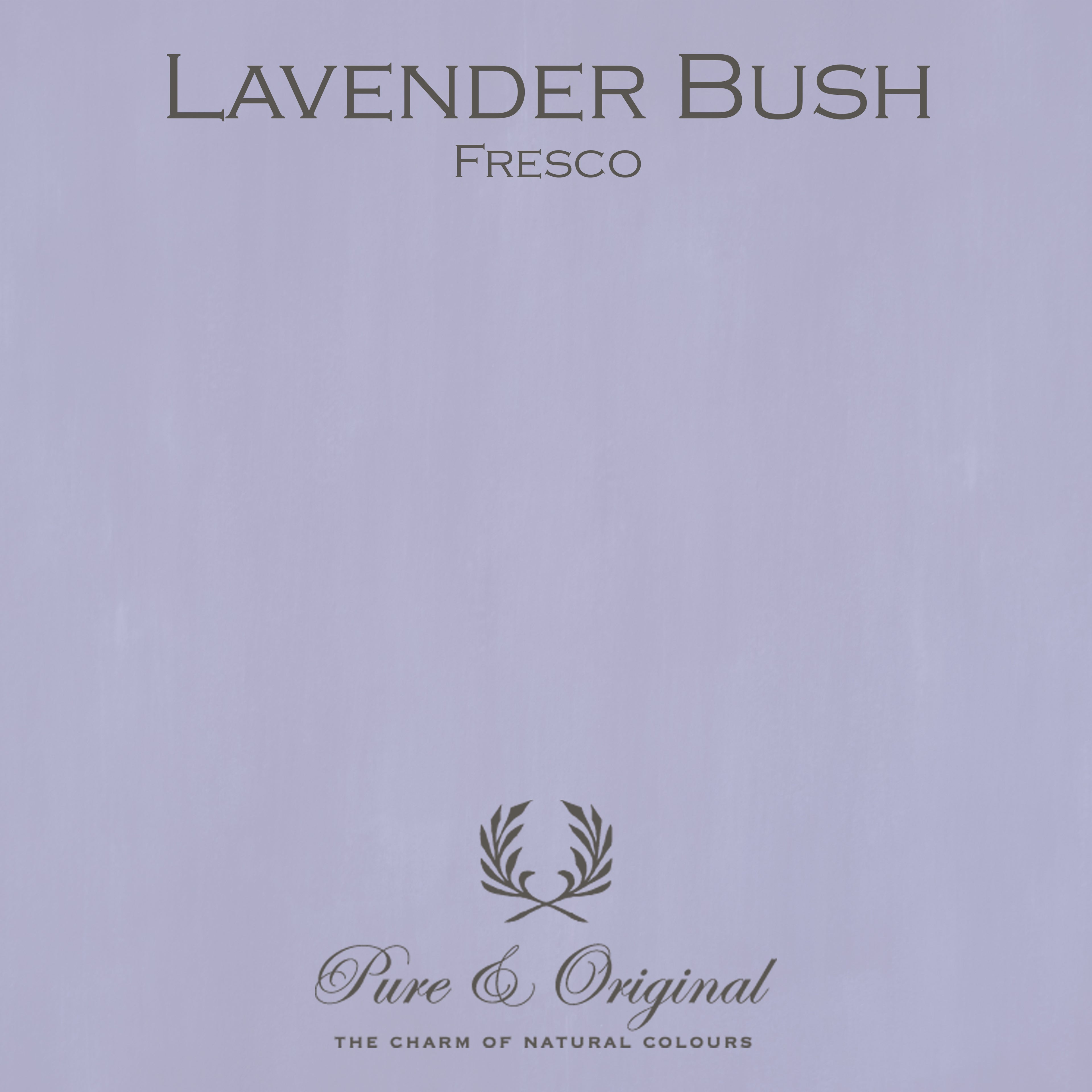 Pure & Original Fresco – Lavender Bush