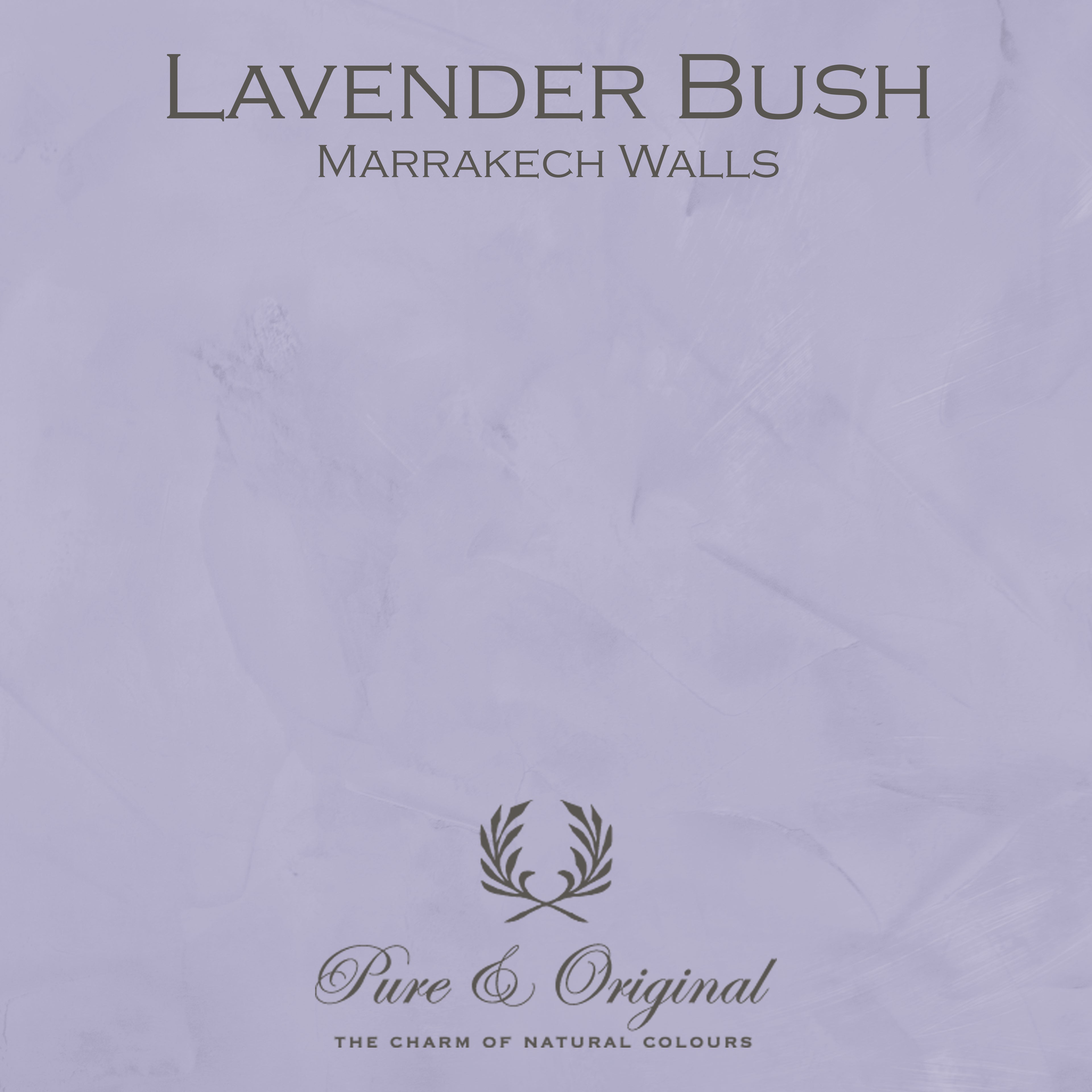 Pure & Original Marrakech Walls – Lavender Bush