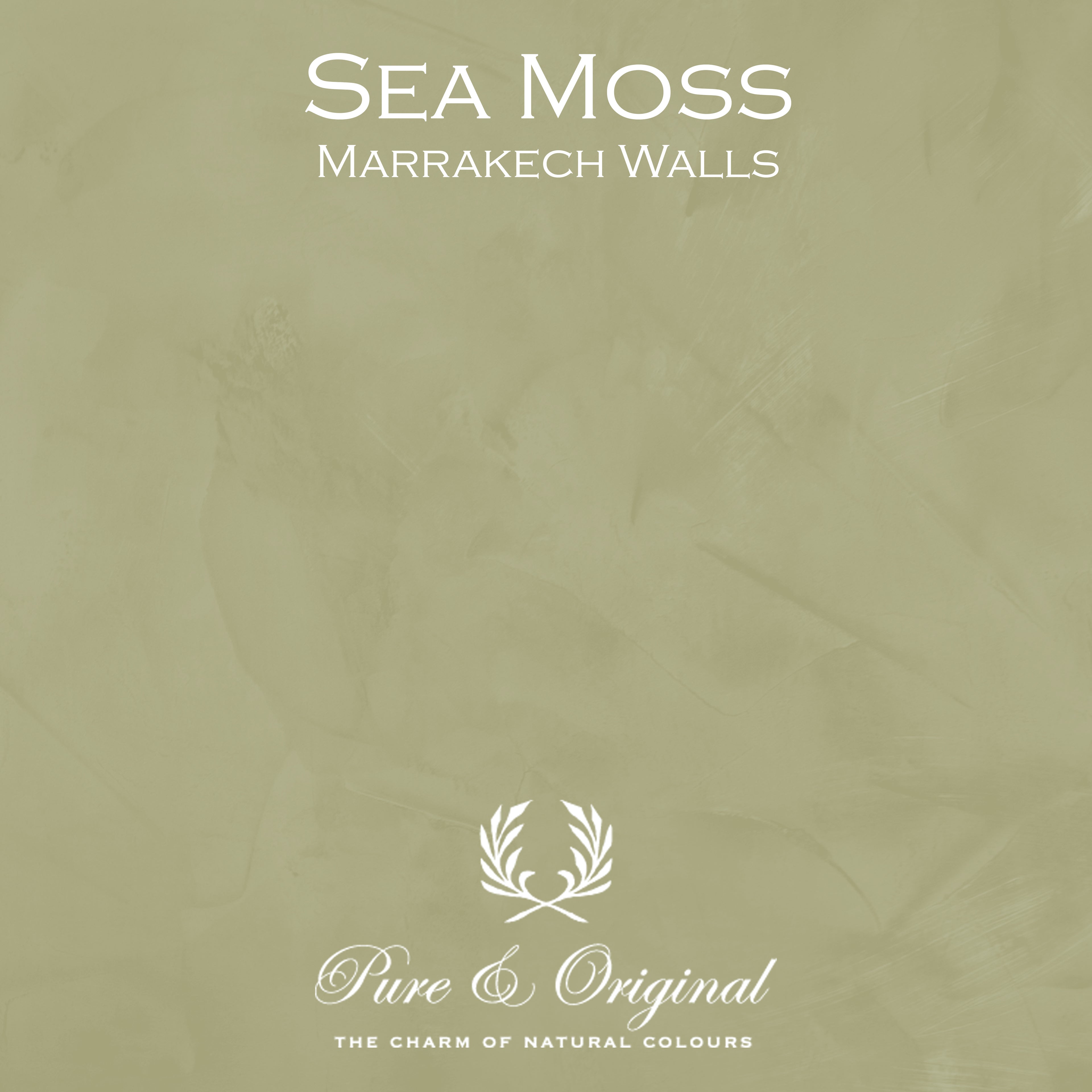 Pure & Original Marrakech Walls – Sea Moss